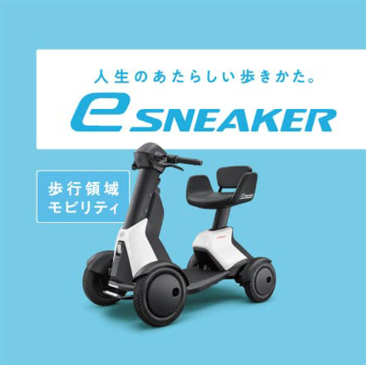 e-SNEAKER